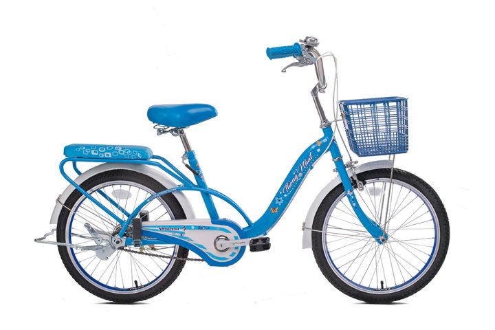 Xe đạp trẻ em Thống Nhất Neo 20-03 màu xanh 